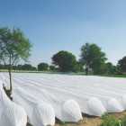 Organic Bactericide