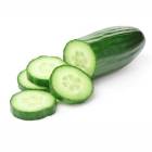 Cucumber