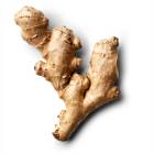 Ginger