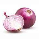 Onion