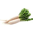 Radish