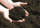 Soil Layer Removing